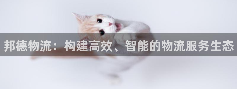 多多28注册问一问：邦德物流：构建高