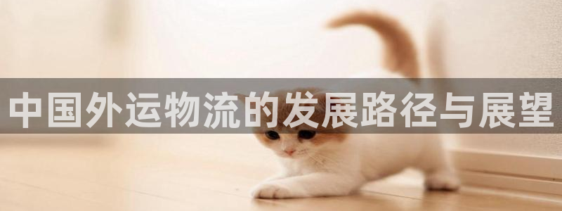多多28注册链接：中国外运物流的发展
