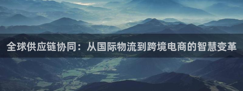 多多28官网版2024：全球供应链协同：从国际物流到跨境电商