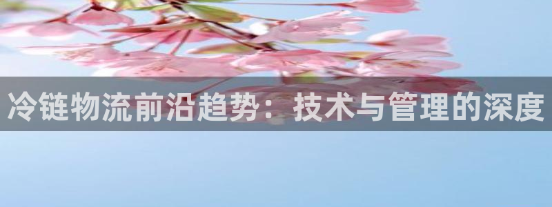 多多28开奖预测
