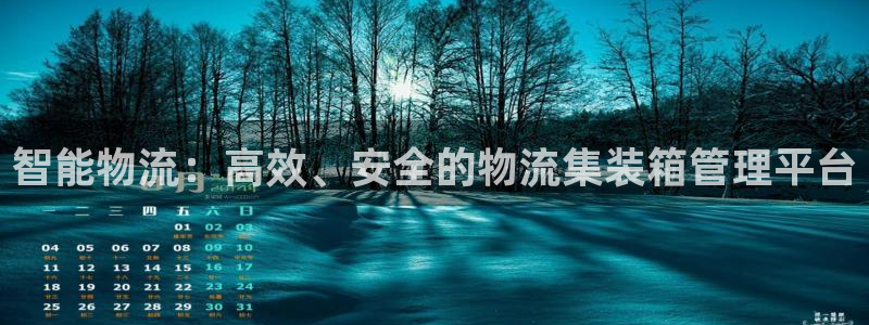 多多28为什么打不开：智能物流：高效