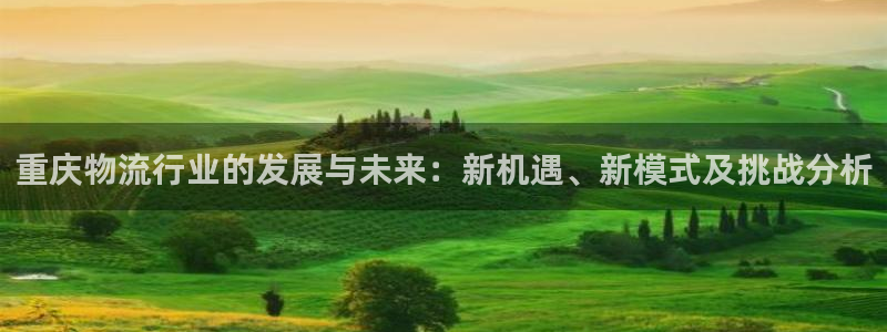 多多28pg麻将胡了：重庆物流行业的