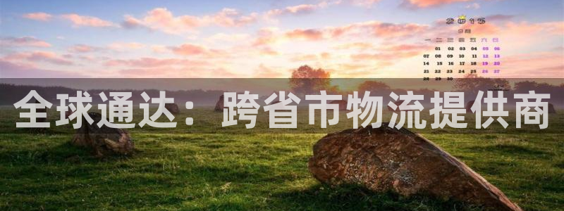多多28下载二维码：全球通达：跨省市物流提供商