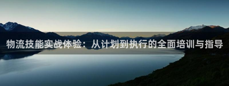多多28p扣款什么意思：物流技能实战体验：从计划到执行的全面