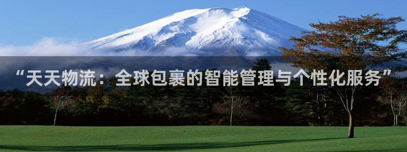 多多28连接：“天天物流：全球包裹的