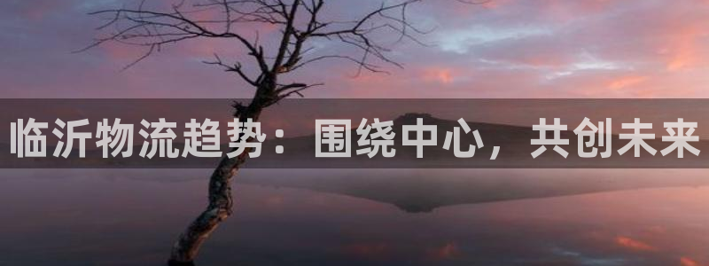 多多28免费充钱：临沂物流趋势：围绕