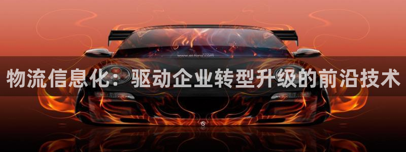 多多28自行车图片：物流信息化：驱动