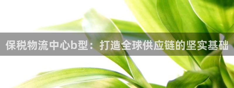 多多28免费：保税物流中心b型：打造