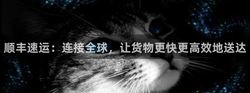 多多28官网下载链接：顺丰速运：连接