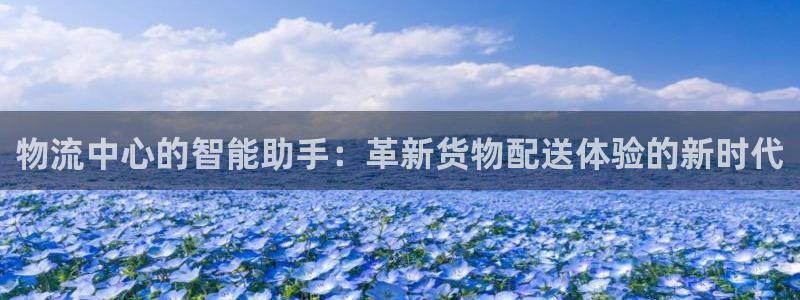 多多28软件是诈骗吗：物流中心的智能