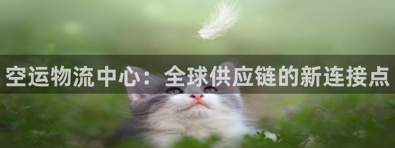 多多28官网下载链接是什么：空运物流