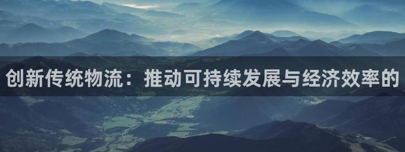 多多28登录不上咋回事：创新传统物流