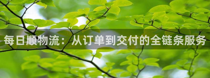 多多28推广链接是多少粉丝：每日顺物