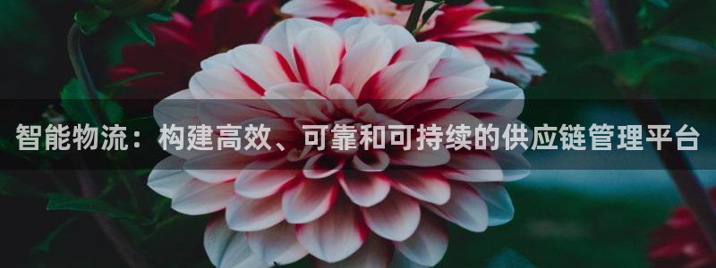 多多28链官网：智能物流：构建高效、可靠和可持续的供应链管理