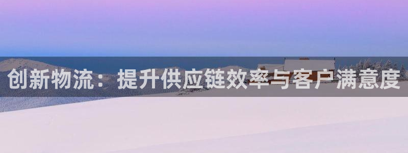 多多28官方官网：创新物流：提升供应链效率与客户满意度