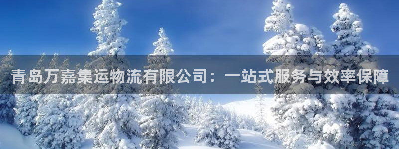 多多28模拟器：青岛万嘉集运物流有限