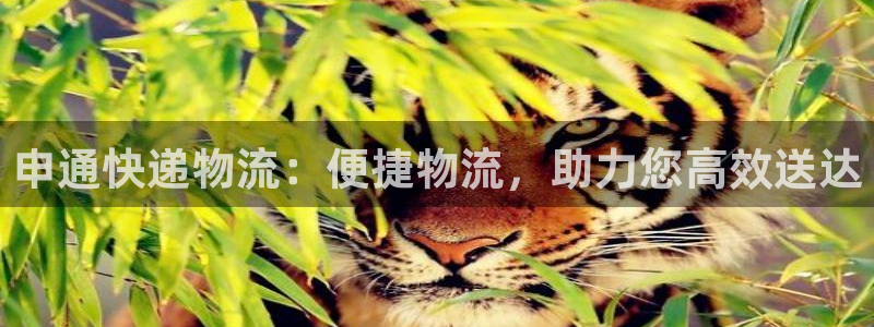 多多28新用户怎么注册：申通快递物流