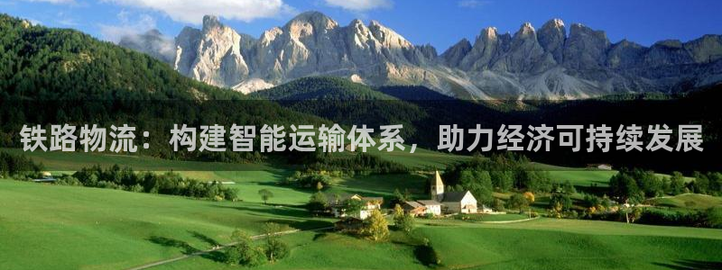 多多28自行车图片大全：铁路物流：构