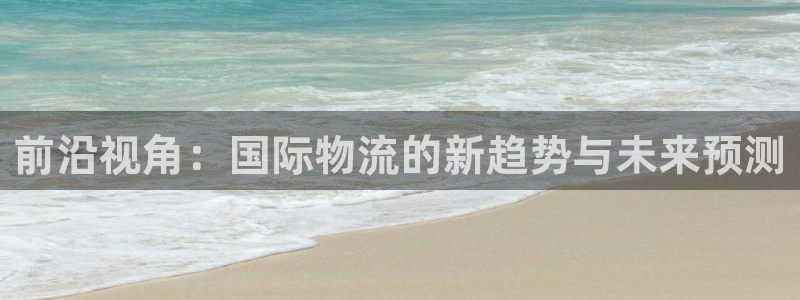 多多28是干嘛的：前沿视角：国际物流