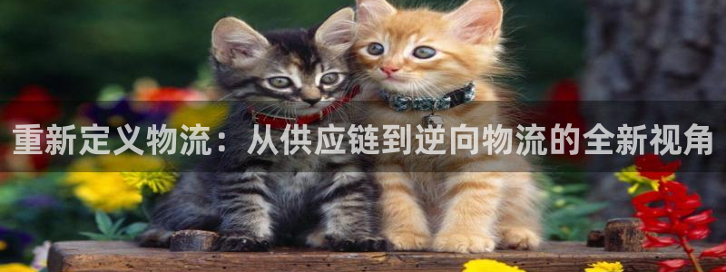 多多28分分压单双技巧：重新定义物流