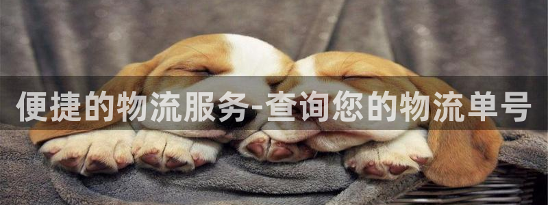 多多28加拿大技巧：便捷的物流服务-